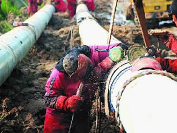 Industrial hoses are on the working site